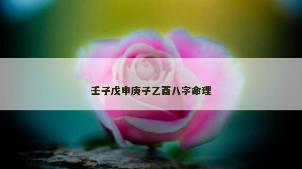 壬子戊申庚子乙酉八字命理