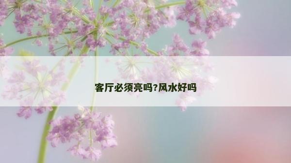 客厅必须亮吗?风水好吗