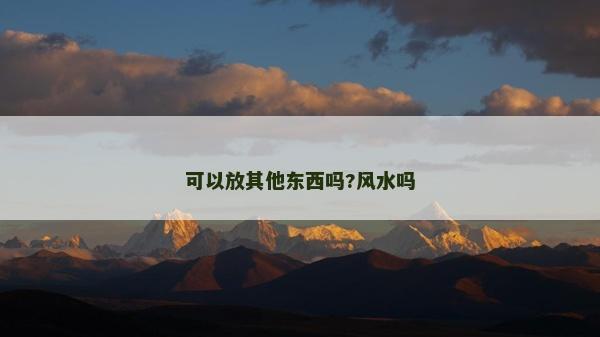可以放其他东西吗?风水吗