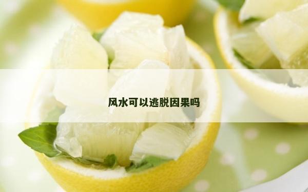 风水可以逃脱因果吗