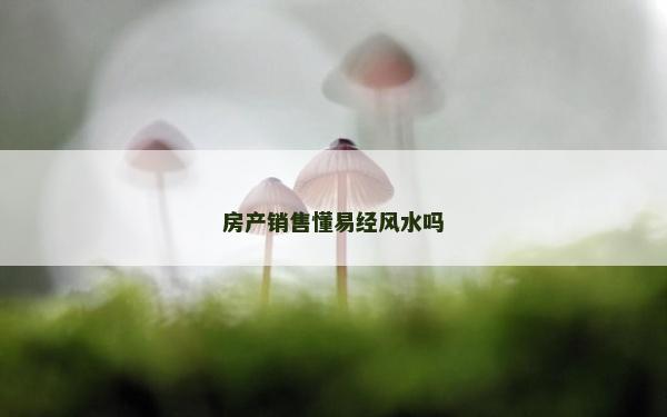 房产销售懂易经风水吗