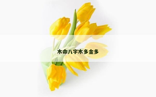 木命八字木多金多