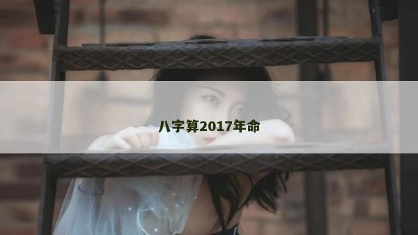 八字算2017年命