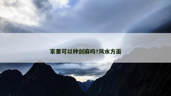 家里可以种剑麻吗?风水方面