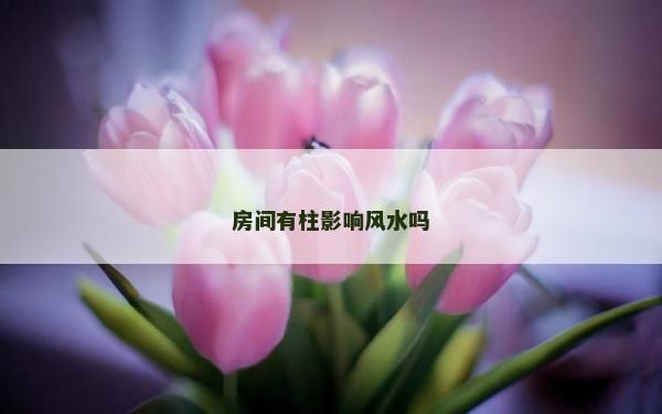房间有柱影响风水吗