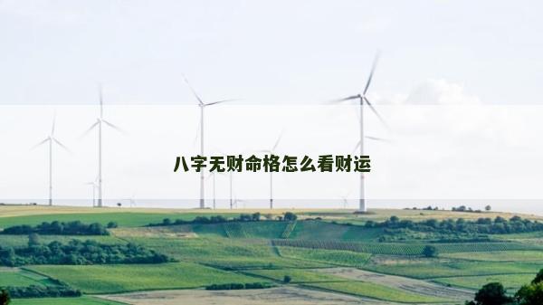 八字无财命格怎么看财运