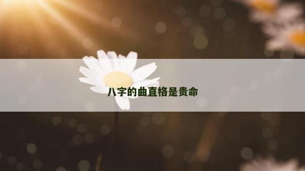 八字的曲直格是贵命