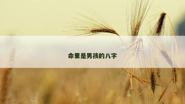 命里是男孩的八字