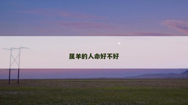 属羊的人命好不好