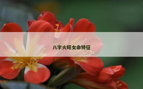 八字火旺女命特征