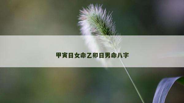 甲寅日女命乙卯日男命八字