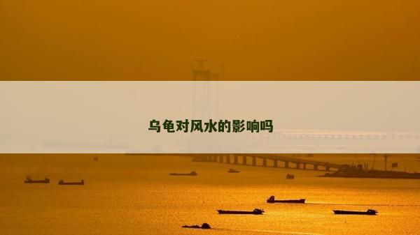 乌龟对风水的影响吗