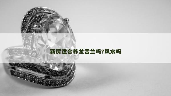 新房适合养龙舌兰吗?风水吗