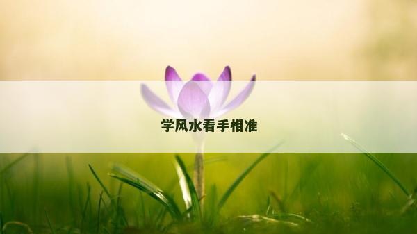 学风水看手相准