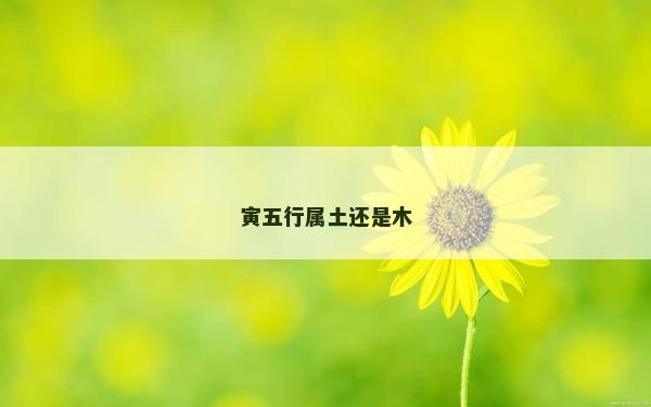 寅五行属土还是木