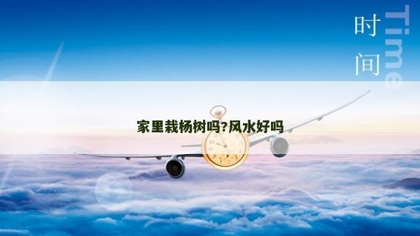 家里栽杨树吗?风水好吗