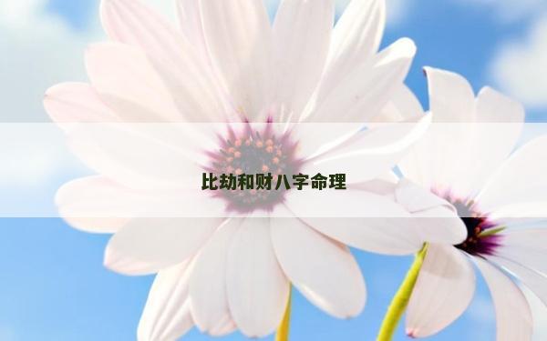 比劫和财八字命理