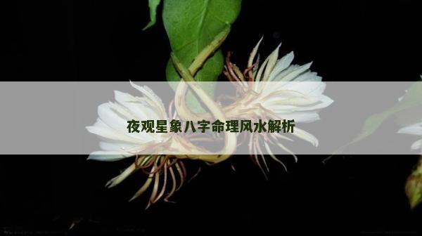 夜观星象八字命理风水解析