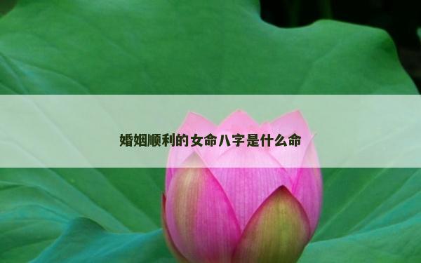 婚姻顺利的女命八字是什么命