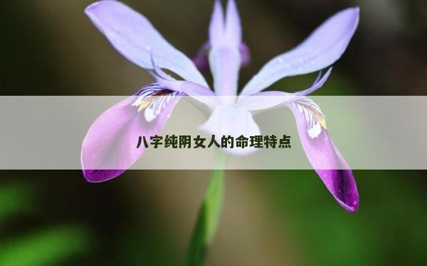 八字纯阴女人的命理特点