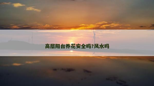 高层阳台养花安全吗?风水吗