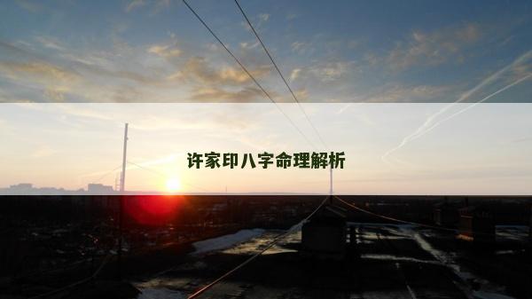 许家印八字命理解析