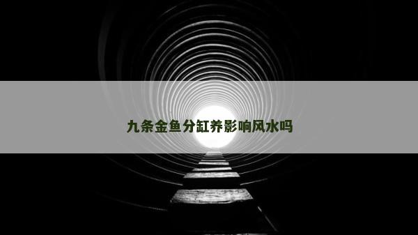九条金鱼分缸养影响风水吗