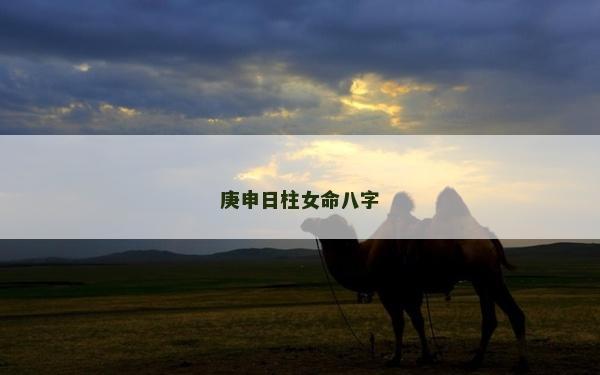 庚申日柱女命八字