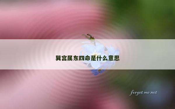 巽宫属东四命是什么意思