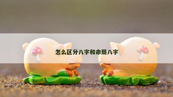 怎么区分八字和命局八字