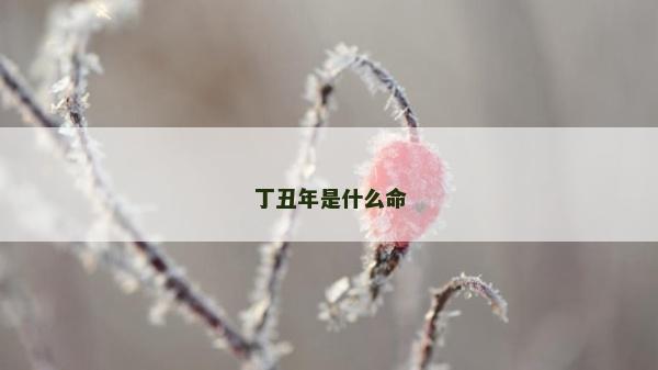 丁丑年是什么命