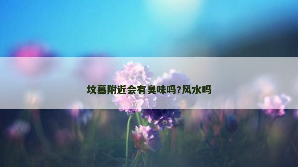 坟墓附近会有臭味吗?风水吗