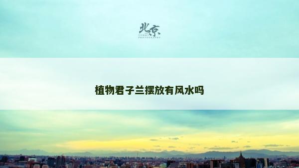 植物君子兰摆放有风水吗
