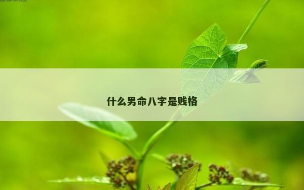 什么男命八字是贱格