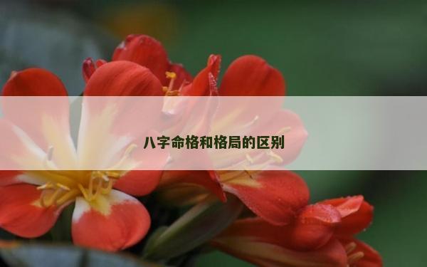 八字命格和格局的区别