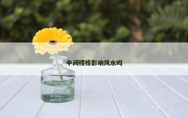 中间楼栋影响风水吗