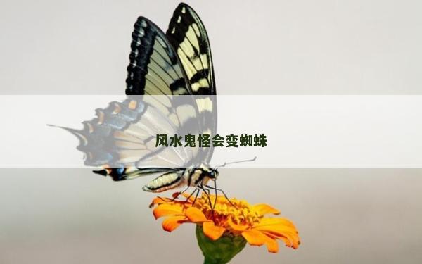 风水鬼怪会变蜘蛛