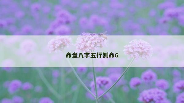 命盘八字五行测命6