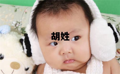 胡姓有气质的男孩名字