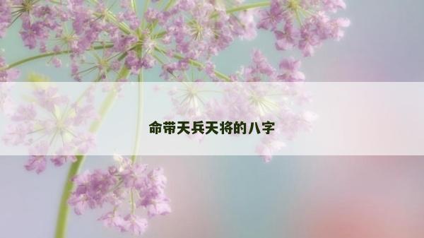 命带天兵天将的八字
