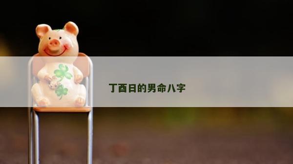 丁酉日的男命八字
