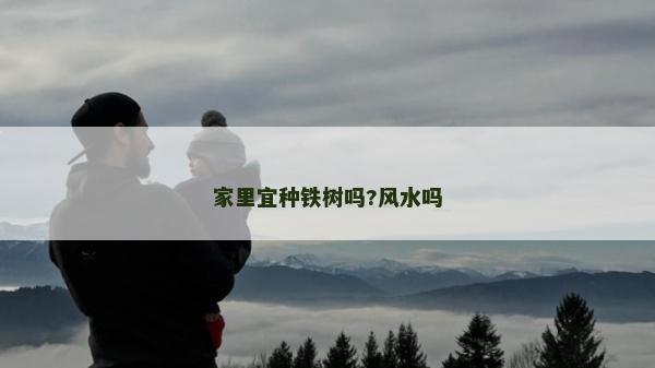 家里宜种铁树吗?风水吗