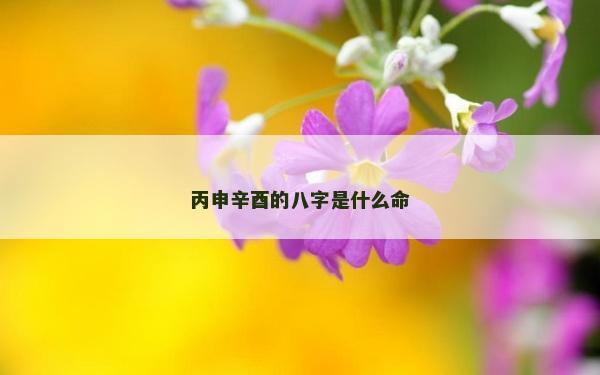 丙申辛酉的八字是什么命