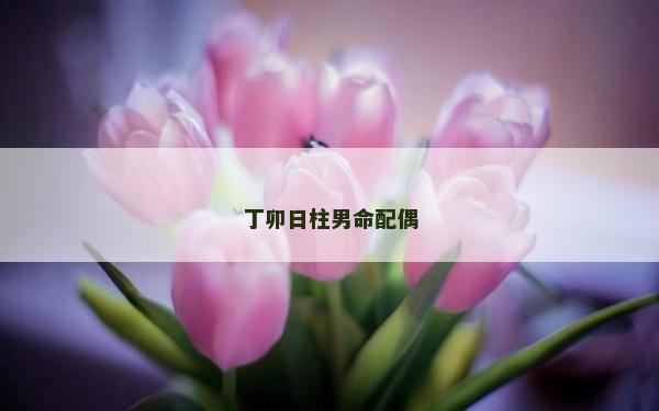 丁卯日柱男命配偶