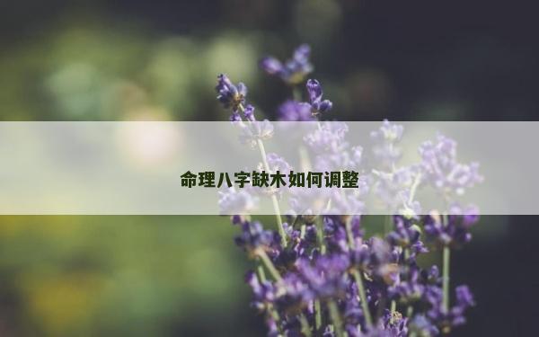 命理八字缺木如何调整