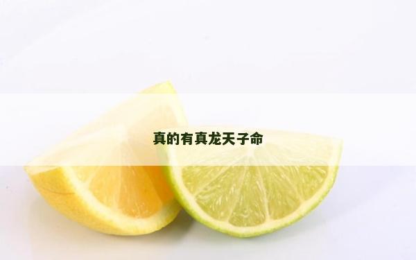 真的有真龙天子命
