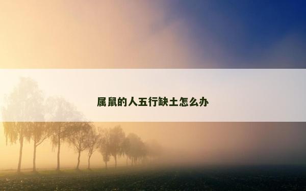 属鼠的人五行缺土怎么办