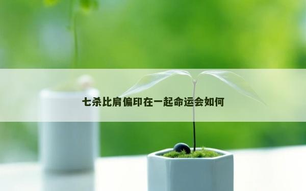 七杀比肩偏印在一起命运会如何