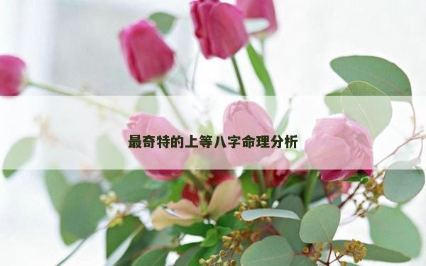 最奇特的上等八字命理分析