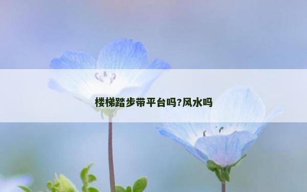 楼梯踏步带平台吗?风水吗